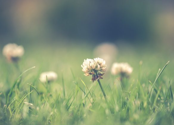 Choisir un funérarium à Auxerre